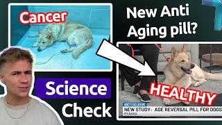 Science Check: Correcting Dylan Page on Anti-Aging 'Breakthroughs'