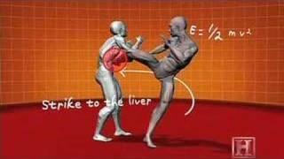 Human Weapon, Savate, Jab/Kick Combo,