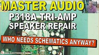 Master Audio P318A Tri-Amp Class D +Active Class AB Speaker Repair