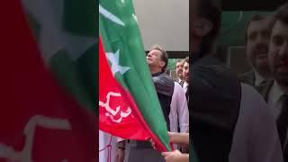 Chairman PTI Imran Khan at Zaman Park