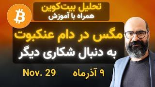 تحلیل بیت‌کوین امروز: مگس در دام عنکبوت