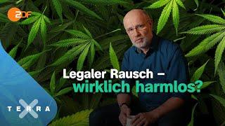 Cannabis – zwischen Horror und Heilung – Leschs Kosmos [Ganze TV-Folge] | Harald Lesch