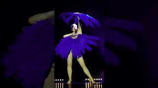 Blue Burlesque Show - Zorya Blue