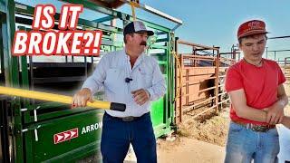 PAINFUL Lessons Learned Working Cattle Today | Bar 7 Ranch