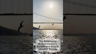 The Bosphorus Bridge connects Europe and Asia in Istanbul, Turkey. 