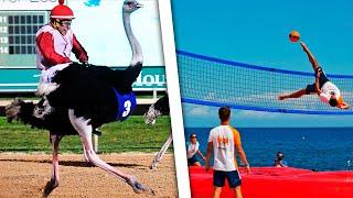 Unsual Sports In The World