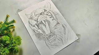 How to draw Tiger, Tiger Drawing, Pencil Drawing, Part- 1, sukanta art