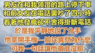 （完結爽文）男友在和我領證的路上停下車，和前女友在電話裏吵了四小時，看著他發瘋卻不舍得掛斷電話，於是我平靜地說了分手，他拿開手機—臉詫異問為什麼？可我一句話讓他徹底沒臉！#情感幸福#出軌#家產#白月光