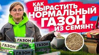 МЕЧТАЕТЕ О ГАЗОНЕ? Вначале посмотрите этот ролик! ВСЕ О ВЫРАЩИВАНИИ ГАЗОНА