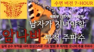 남자가 지녀야할암나비 부적 주파수 |  좋은 여자운 상승 | 강력재회 | 인기몰이 | 매력폭발 | 부적을 지니는 것보다 흡수가 빠른 에너지 | 소원성취