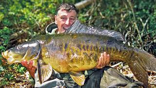 Monster Mirror Carp in the Blackstone River Valley (Full Episode)