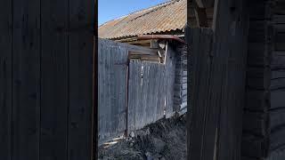 My Дача / Cottage Renovation - High spring water level.
