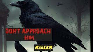 top 10 weird crow behavior same to be scary or dangerous you won't believe#wildlife #naturelovers