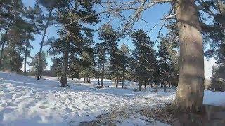 DJI FPV in the forest at 500mW (comparison to Byte Frost)