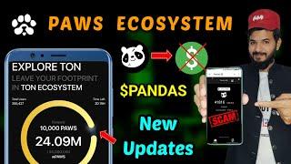 Paws Ecosystem new update| Paws new ton transaction and wpaws stake | Pandas scam $PANDAS | Paws