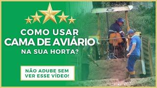 COMO ADUBAR HORTALIÇAS COM CAMA DE AVIÁRIO?