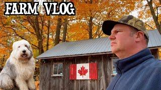 A Fall Day at a Farm Stay in Ontario, Canada