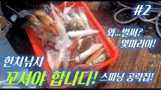 한치낚시 많이 잡는 사람은 이유가 있다?! 오모리그 수심공략 노하우!