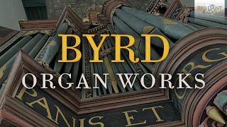 Byrd: Organ Works