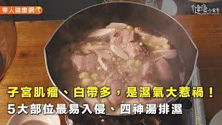 【健康小食堂】子宮肌瘤、白帶多，是濕氣大惹禍！中醫：5大部位最易入侵、四神湯排濕