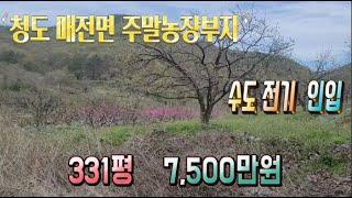 청도땅매매18 매전면 금천리 농업보호구역 지목은 전 토지331P 7,500만원 전기 수도 인입 청도주말농장 청도부동산 청도Ic 25분거리 매전면부동산 청도토지 청도전원주택지