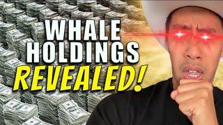 Spying on 4 Crypto Whale Wallets - DON'T MISS THIS LESSON