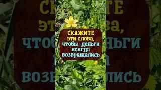 Скажите эти слова, чтобы деньги всегда возвращались