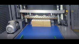 MULTIMAC 60D - Multipack Packaging Machine