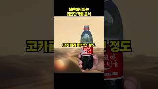 북한 짝퉁 음식 top5[지식똥개]