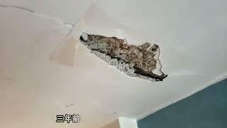 天花石屎剥落, DIY士波令