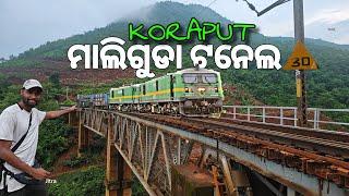 କୋରାପୁଟ ମାଲିଗୁଡା ଟନେଲ ବ୍ରିଜ | Koraput Malliguda Tunnel Bridge |