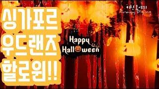 우드랜즈의 할로윈 -싱가포르 생활 (동남아/싱가폴/Singapore/woodlands/Halloween)