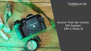 Kurzer Test der neuen OM System OM-1 MarkII