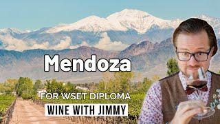 Argentina Wine Regions: North & East Mendoza Explained | WSET Diploma D3 Tips