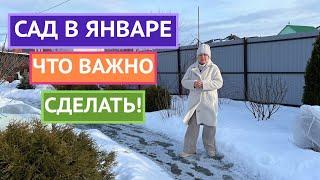 ВСЕ В САД! ОСНОВНЫЕ ДЕЛА ЯНВАРЯ️