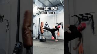 Side kick #shots #training #shortsvideo #boxing #tutorial #shortvideo #usa #india #russia #indonesia