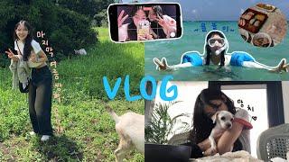 VLOG. 끝여름 제주 브이로그 ️ | 오랜만에 망치도 보고 | 과 친구랑 여행도 하고 | 올해 처음이자 마지막 물놀이 | 9.81 파크 | 카약 | 또 해녀촌 | 빠빠라기