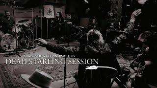 Dead Starling Session - Film (4K)