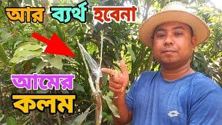 আম গাছের কলম করার সহজ পদ্ধতি ২০২৪ || Easy method of grafting mango tree 2024