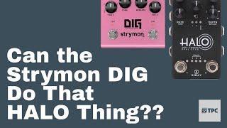 How Close Does the Strymon DIG Get to the Keeley Halo?? #delay #shootout #review