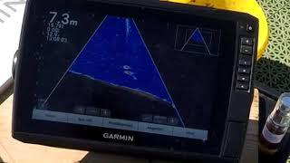 Élő harcsa kapás / Live Catfish Bite on Garmin Echomap Ultra + Panoptix Livescope LVS12 transducer