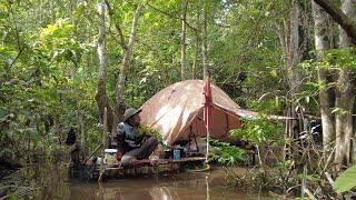 BERMALAM DI ATAS AIR RAWA DAN HANTAMAN TAJUR OLEH BIG FISH PREDATOR.. HARI KEDUA