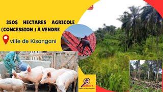 Kisangani 350$ hectares agricole ( concession ) à vendre