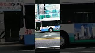부산49번 뉴비저상 모음1