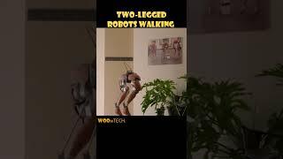 The Two-Legged Robots Walking