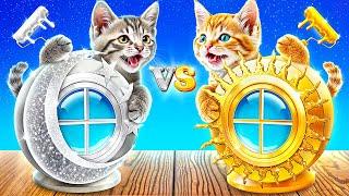 How to Make a Secret Room for Kittens! Gold Cat vs Silver Cat!