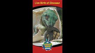 LIVE BIRTH OF DINOSAUR, LATIKAS WORLD #Shorts