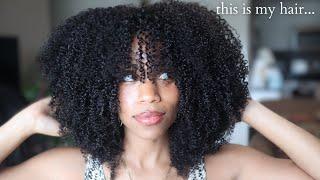 THE BEST NATURAL HAIR WIG I'VE EVER WORN  | HERGIVENHAIR Something About Mary Unit (Style B) 