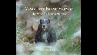 Photo Book: Vancouver Island Marmot, The World's Rarest Marmot