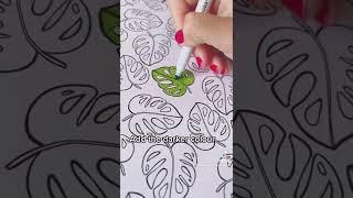 How to blend with Crayola super tips! Colouring in tips to make your page pop  subscribe for more!